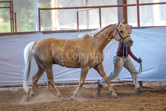 KB2_6988