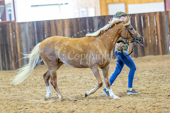 KB2_5621