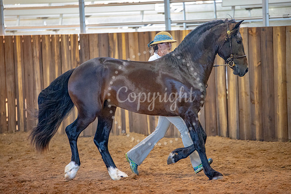 KB2_6577