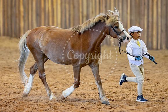 KB2_4984