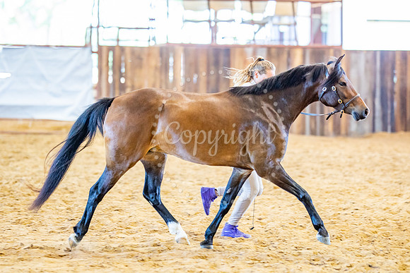 KB2_5594