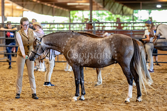 KB2_5293