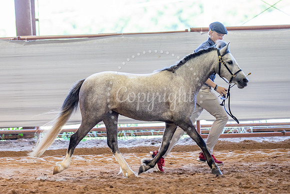 KB2_5559