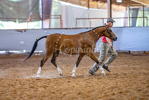 KB2_5193
