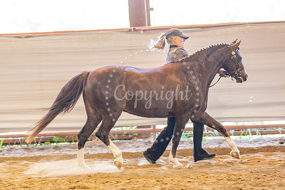 KB2_5665