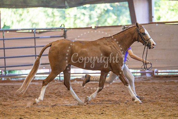 KB2_6695
