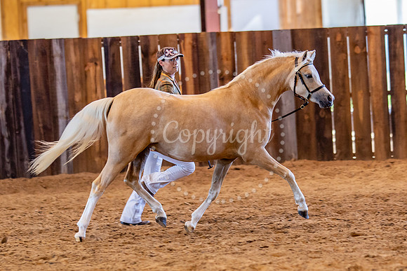 KB2_5456