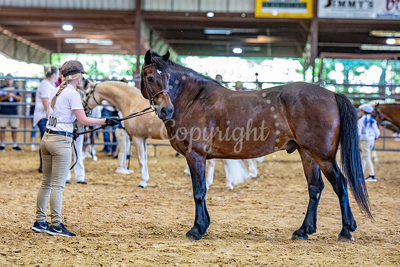 KB2_5291