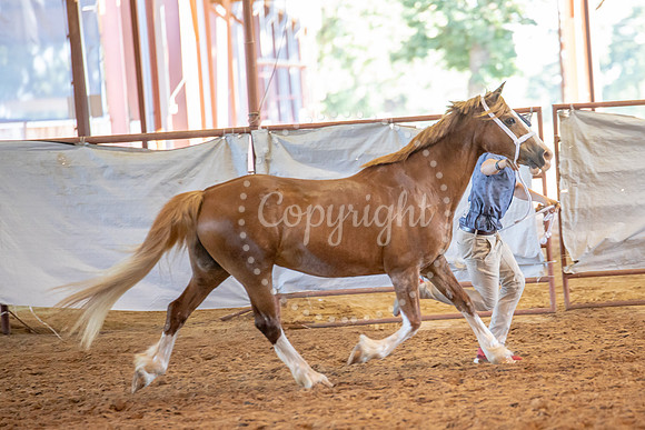 KB2_6446