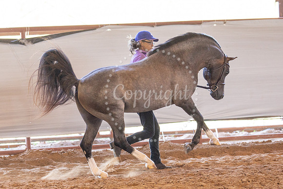 KB2_6170