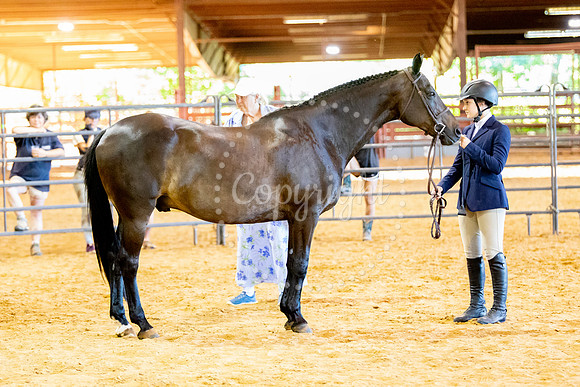 KB2_6957