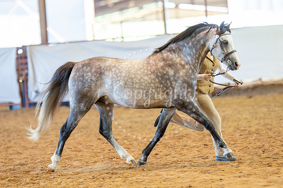 KB2_6149