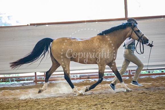 KB2_6975