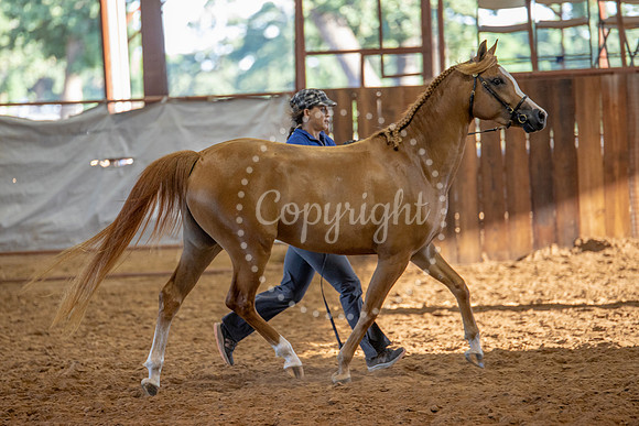 KB2_6754