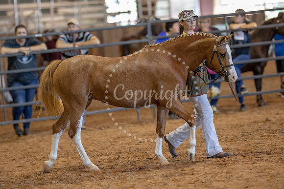 KB2_5734