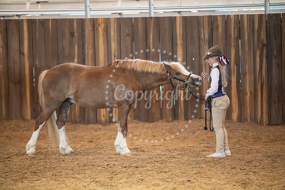 KB2_7079