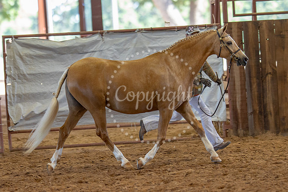 KB2_5806