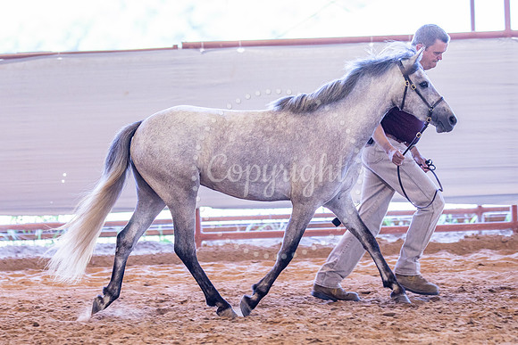 KB2_5484