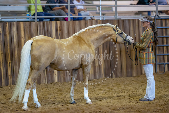 KB2_6254