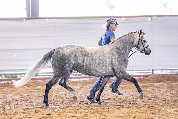 KB2_5648