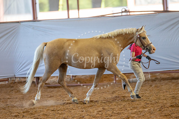 KB2_6801