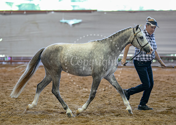 KB2_5044