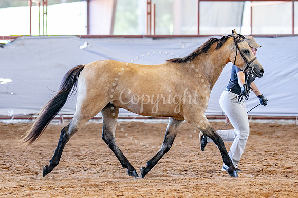 KB2_5233
