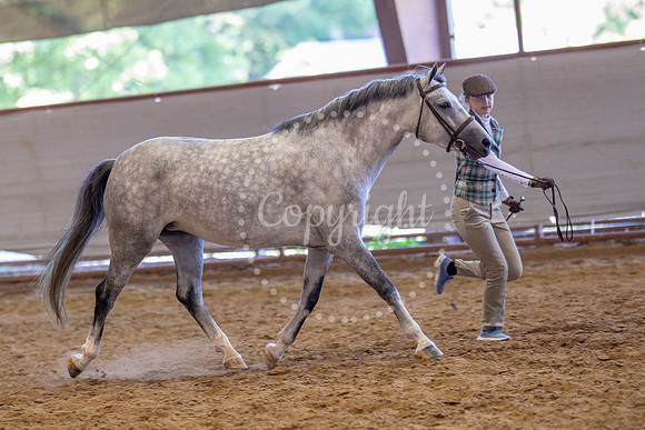KB2_5839