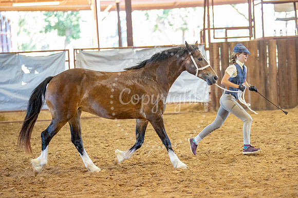 KB2_6431
