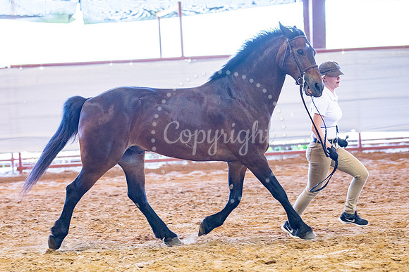 KB2_5284