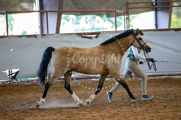 KB2_6979