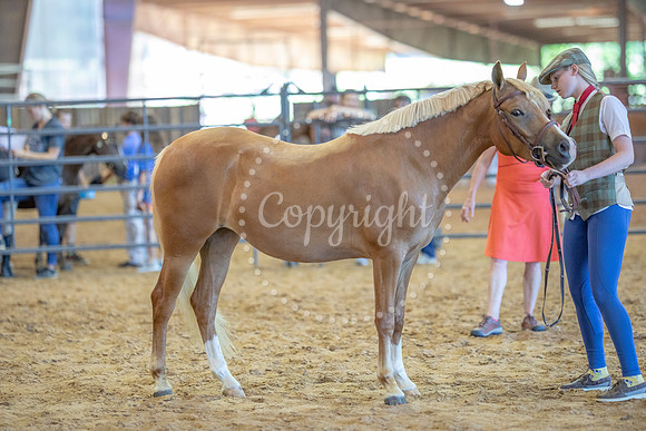 KB2_5725
