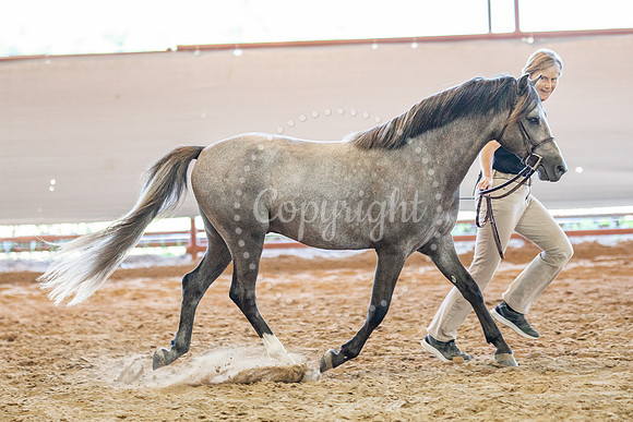 KB2_6096