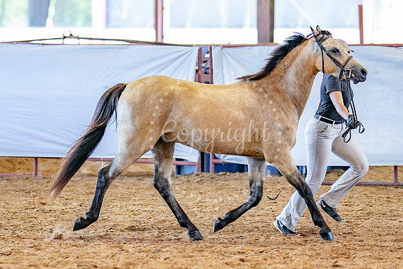 KB2_5237
