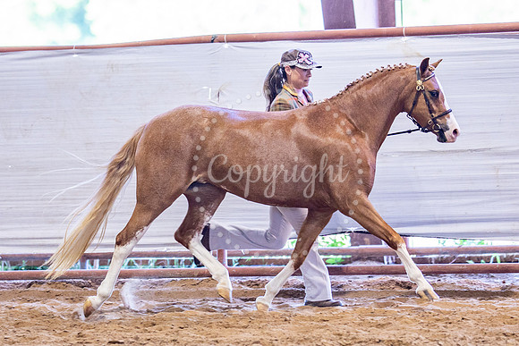 KB2_5623