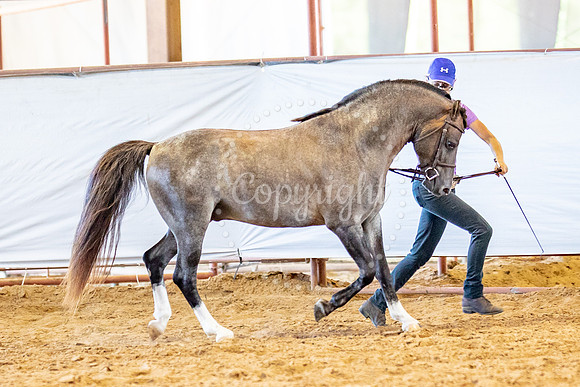 KB2_6292