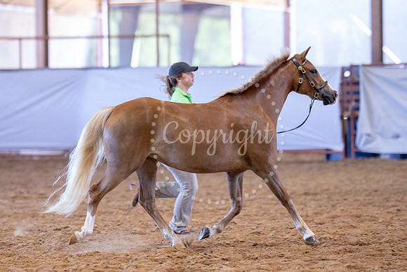 KB2_5536