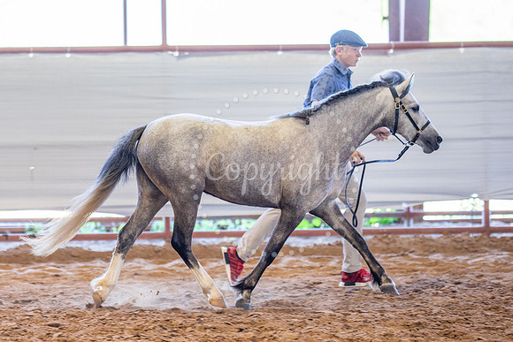 KB2_5563