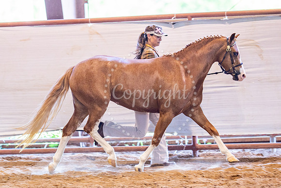 KB2_5625