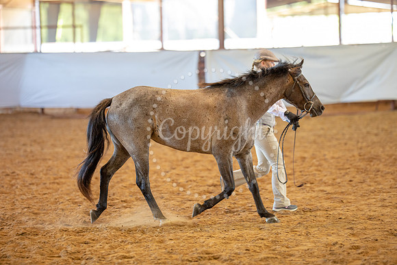 KB2_5938
