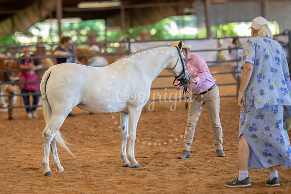 KB2_5990