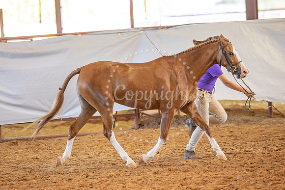 KB2_6772