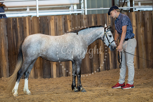 KB2_5788