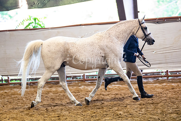KB2_6970