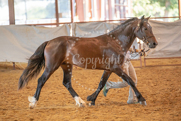 KB2_6594
