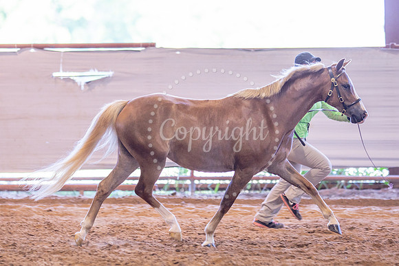 KB2_5534