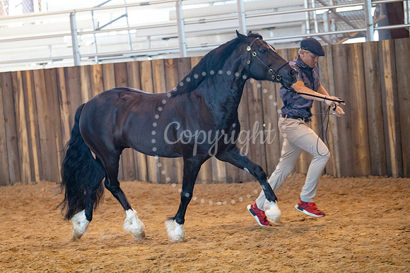 KB2_6629