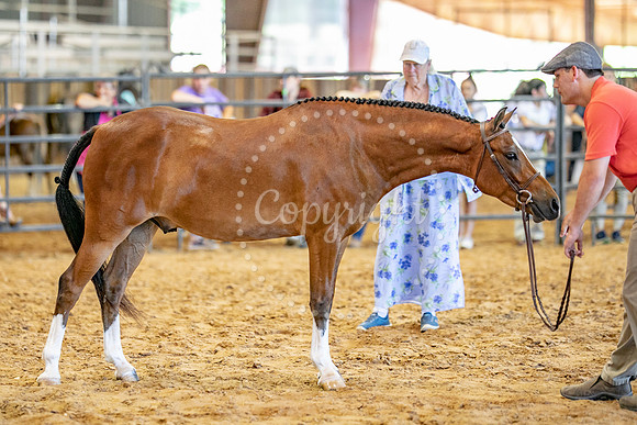 KB2_5191
