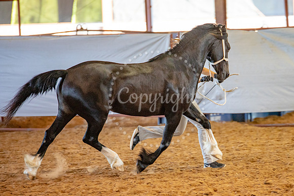 KB2_6477