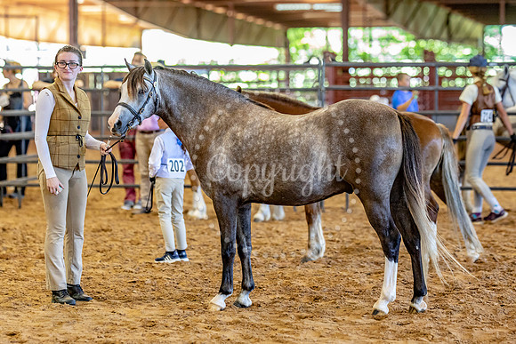 KB2_5294